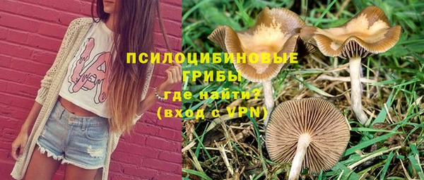 MESCALINE Покачи