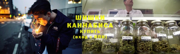 крисы Богородск